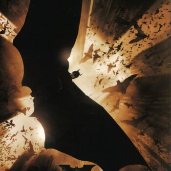Batman Begins By DC Comics Fine Art
